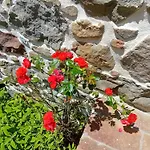 Raggio Di Sole Grotte (Tuscany)