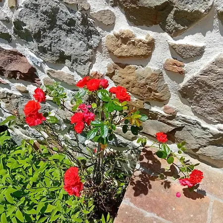Raggio Di Sole Grotte (Tuscany)